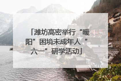 潍坊高密举行“暖阳”困境未成年人“六一”研学活动