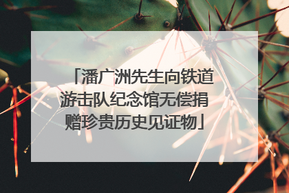 潘广洲先生向铁道游击队纪念馆无偿捐赠珍贵历史见证物
