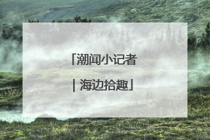 潮闻小记者｜海边拾趣