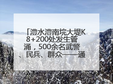 澧水澧南垸大堤K8+200处发生管涌，500余名武警、民兵、群众——通宵达旦战管涌
