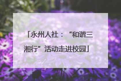 永州人社：“和谐三湘行”活动走进校园