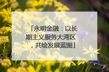 永明金融：以长期主义服务大湾区，共绘发展蓝图