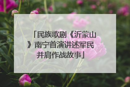 民族歌剧《沂蒙山》南宁首演讲述军民并肩作战故事