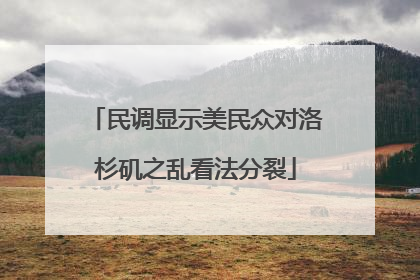 民调显示美民众对洛杉矶之乱看法分裂