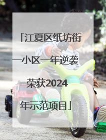 江夏区纸坊街一小区一年逆袭 荣获2024年示范项目