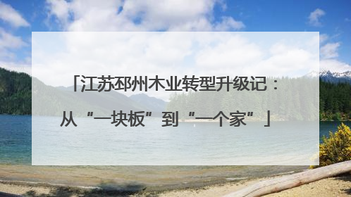 江苏邳州木业转型升级记：从“一块板”到“一个家”