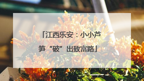 江西乐安：小小芦笋“破”出致富路