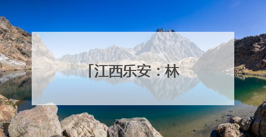 江西乐安：林下紫灵芝撑开群众“致富伞”