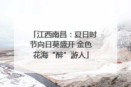 江西南昌：夏日时节向日葵盛开 金色花海“醉”游人