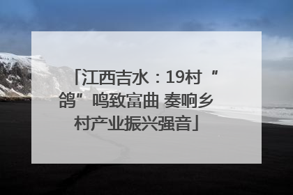 江西吉水：19村“鸽”鸣致富曲 奏响乡村产业振兴强音