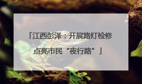 江西彭泽：开展路灯检修 点亮市民“夜行路”