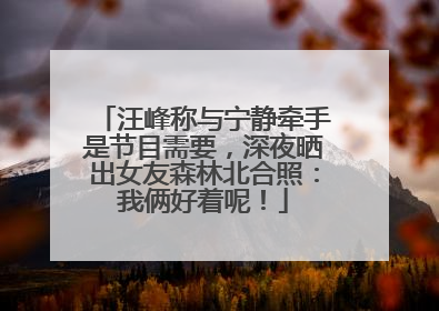 汪峰称与宁静牵手是节目需要，深夜晒出女友森林北合照：我俩好着呢！