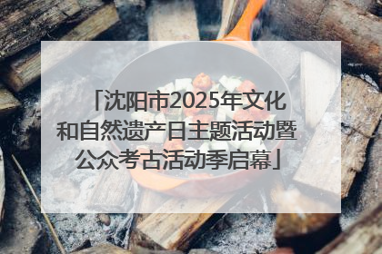 沈阳市2025年文化和自然遗产日主题活动暨公众考古活动季启幕