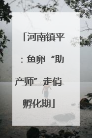 河南镇平：鱼卵“助产师”走俏孵化期