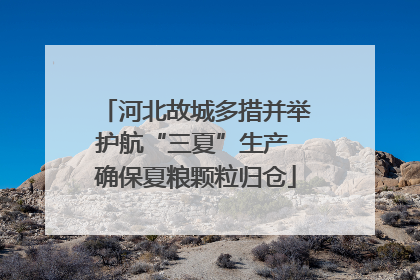 河北故城多措并举护航“三夏”生产 确保夏粮颗粒归仓