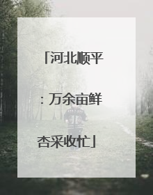 河北顺平：万余亩鲜杏采收忙
