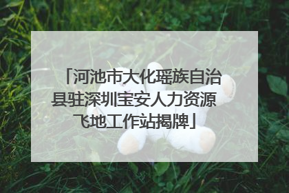 河池市大化瑶族自治县驻深圳宝安人力资源飞地工作站揭牌