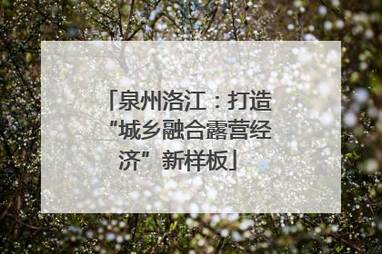 泉州洛江：打造“城乡融合露营经济”新样板