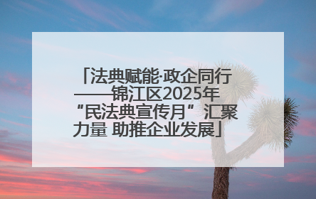 法典赋能·政企同行——锦江区2025年“民法典宣传月”汇聚力量 助推企业发展