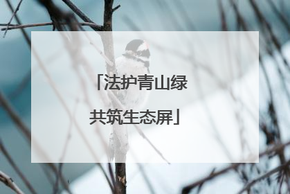 法护青山绿 共筑生态屏