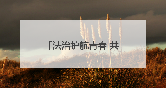 法治护航青春 共筑平安校园——六安市毛坦厂中学举行法治教育讲座