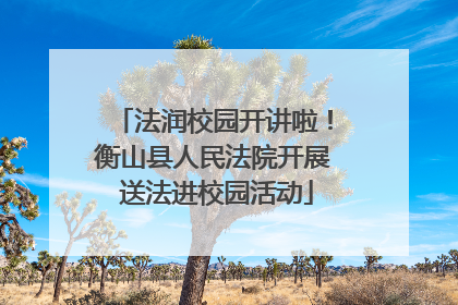 法润校园开讲啦！衡山县人民法院开展 送法进校园活动