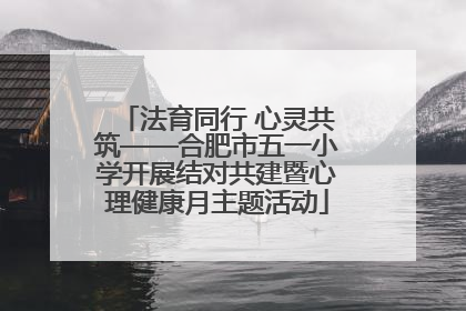 法育同行 心灵共筑——合肥市五一小学开展结对共建暨心理健康月主题活动
