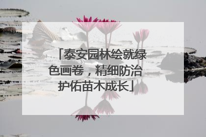 泰安园林绘就绿色画卷，精细防治护佑苗木成长