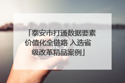 泰安市打通数据要素价值化全链路 入选省级改革精品案例