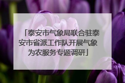 泰安市气象局联合驻泰安市省派工作队开展气象为农服务专题调研