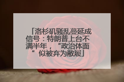 洛杉矶骚乱蔓延成信号：特朗普上台不满半年，“政治体面”似被弃为敝履