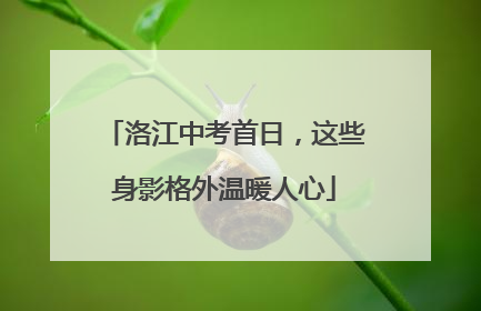 洛江中考首日，这些身影格外温暖人心