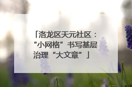 洛龙区天元社区：“小网格”书写基层治理“大文章”