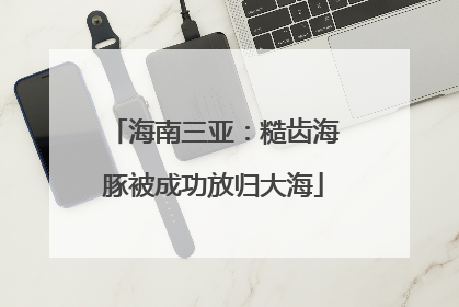 海南三亚：糙齿海豚被成功放归大海