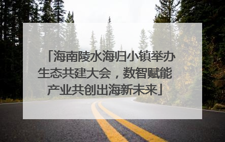 海南陵水海归小镇举办生态共建大会，数智赋能产业共创出海新未来