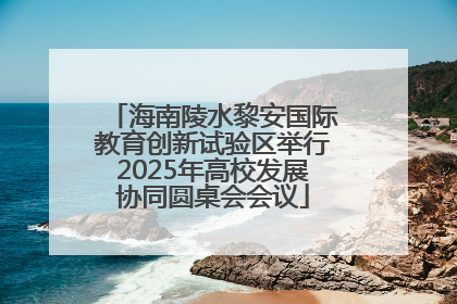 海南陵水黎安国际教育创新试验区举行2025年高校发展协同圆桌会会议