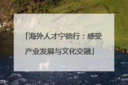海外人才宁德行：感受产业发展与文化交融
