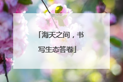 海天之间，书写生态答卷