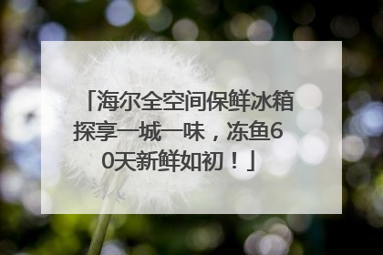 海尔全空间保鲜冰箱探享一城一味，冻鱼60天新鲜如初！