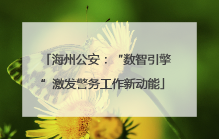 海州公安：“数智引擎”激发警务工作新动能