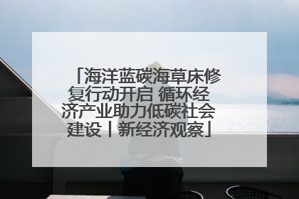 海洋蓝碳海草床修复行动开启 循环经济产业助力低碳社会建设丨新经济观察