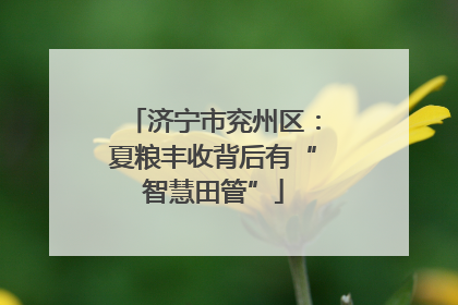 济宁市兖州区：夏粮丰收背后有“智慧田管”