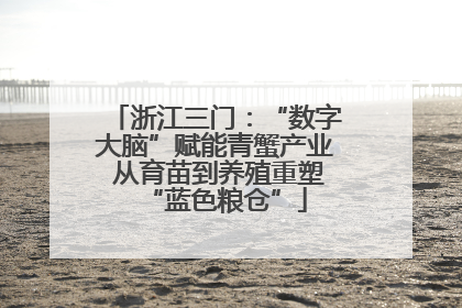 浙江三门：“数字大脑”赋能青蟹产业 从育苗到养殖重塑“蓝色粮仓”