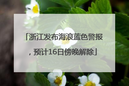 浙江发布海浪蓝色警报，预计16日傍晚解除