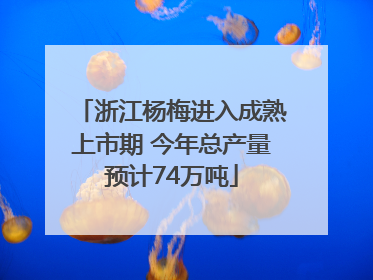 浙江杨梅进入成熟上市期 今年总产量预计74万吨