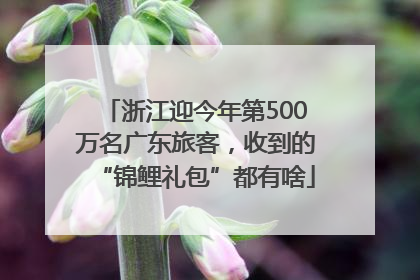 浙江迎今年第500万名广东旅客，收到的“锦鲤礼包”都有啥