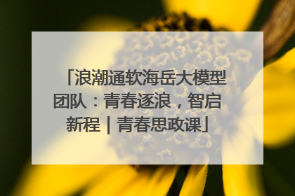 浪潮通软海岳大模型团队：青春逐浪，智启新程｜青春思政课