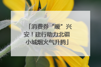 消费券“暖”兴安！建行助力北疆小城烟火气升腾