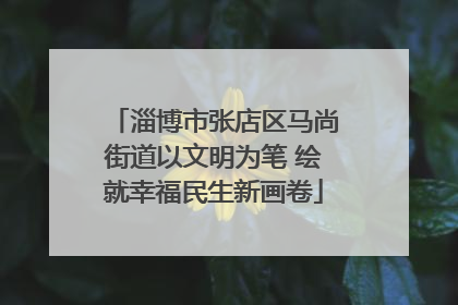 淄博市张店区马尚街道以文明为笔 绘就幸福民生新画卷