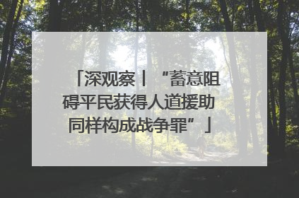 深观察丨“蓄意阻碍平民获得人道援助同样构成战争罪”
